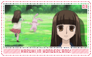 ohhc-haruhiinwonderland03